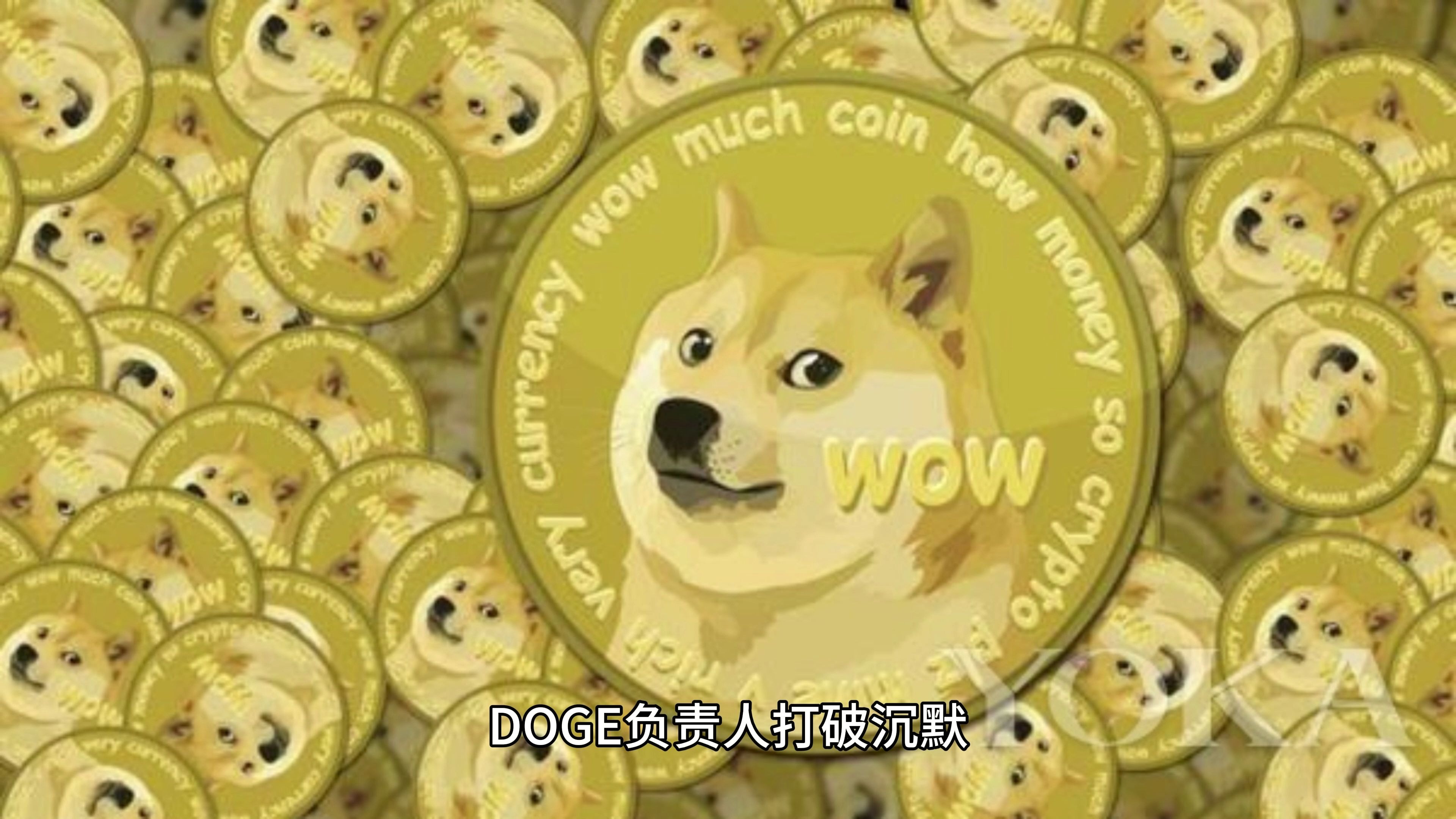 狗狗币投资骗局被揭发，已有超FTX人被骗！