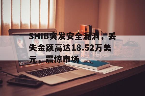 SHIB突发安全漏洞，丢失金额高达18.52万美元，震惊市场