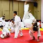 柔道赛场再起风云：漠南风暴队失利天山烈马队，赛场气氛火爆精神属性拉满-开云体育中国官网