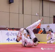 柔道赛场再起风云：漠南风暴队失利天山烈马队，赛场气氛火爆精神属性拉满